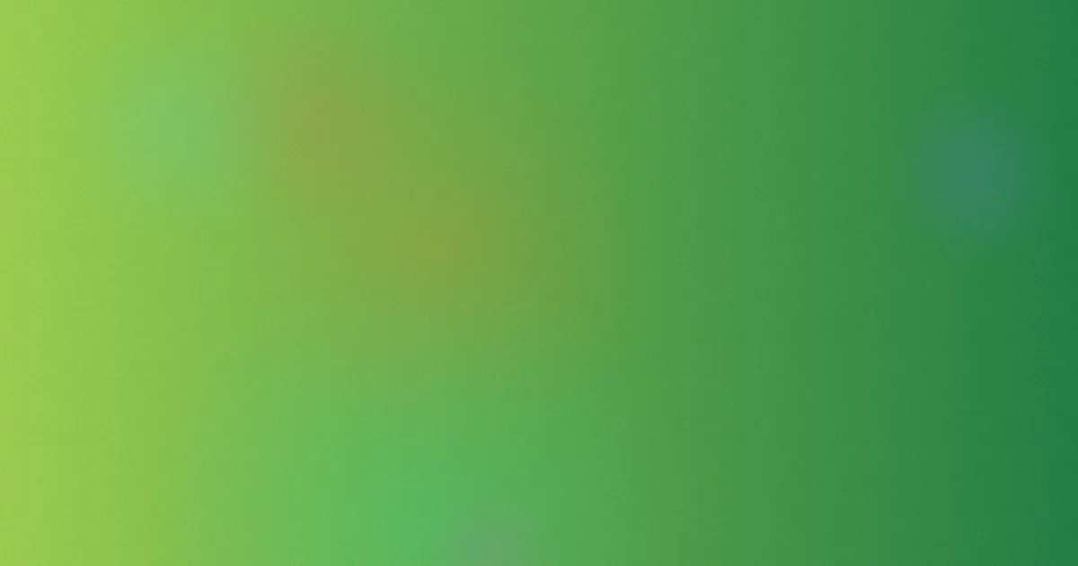 锦鲤抄测评：别只听副歌
